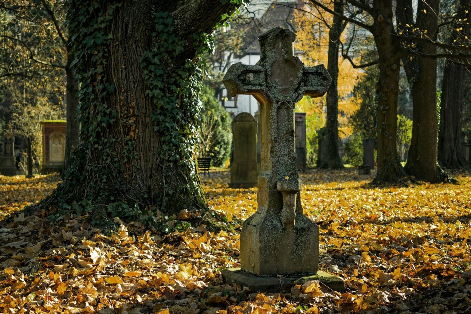 Commune de Chaudeyrac Lozère